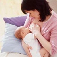 Tặng con những chiếc răng ngà